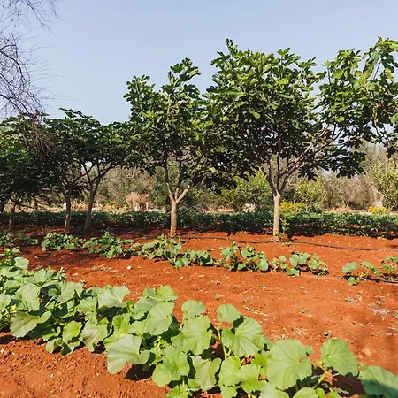 Holiday home Trullo Isabella *