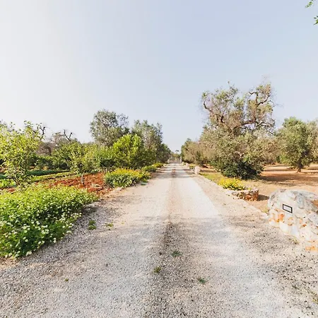 Dom wakacyjny Trullo Isabella