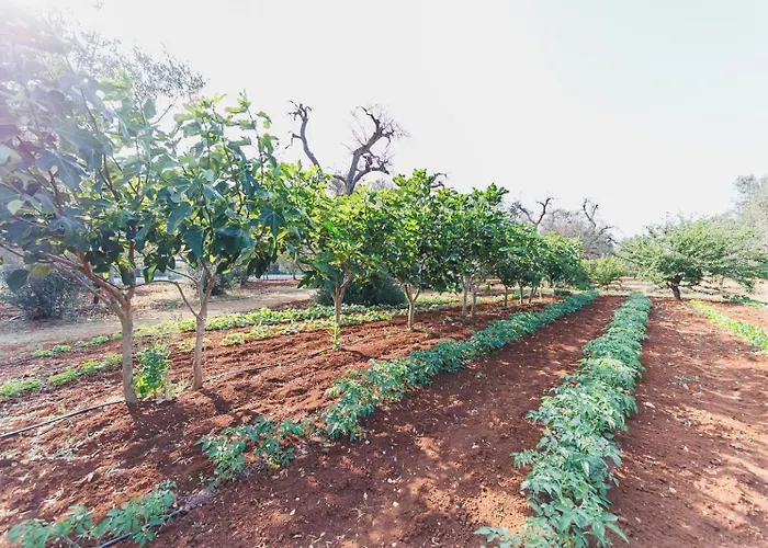 Trullo Isabella Lanciano
