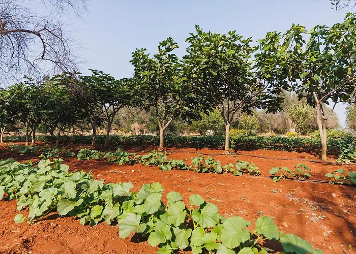 Casa de Férias Trullo Isabella *